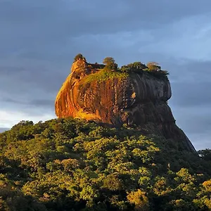 Mango Accommodatie bij particulieren Sigiriya