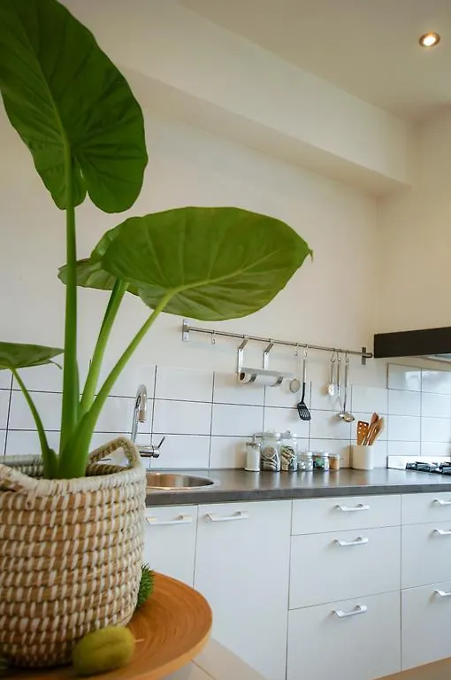 Apartment Havenstraat Ντελφτ 0*,  Ολλανδία